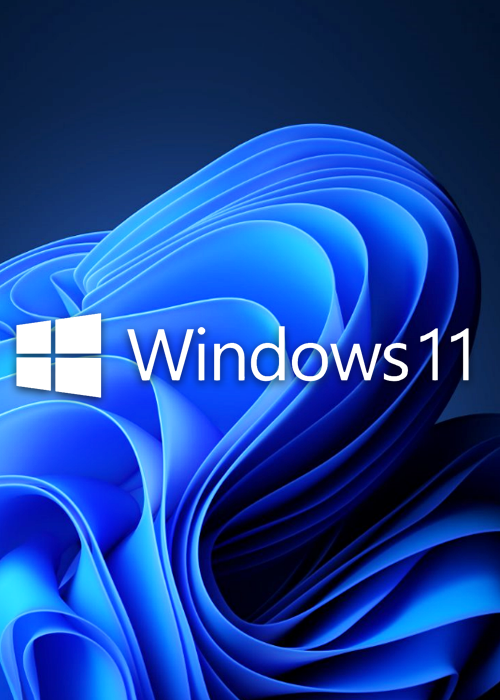MS Windows 11 PRO